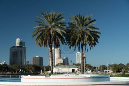 Foto de Un par de hermosas palmeras simétricas cerca de Demens Park y el muelle de St Pete enmarcan rascacielos de la ciudad, Florida - Imagen libre de derechos