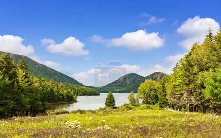 Téléchargez les photos : Vue panoramique paisible sur la rive de la rivière avec des montagnes en arrière-plan par une journée ensoleillée - en image libre de droit