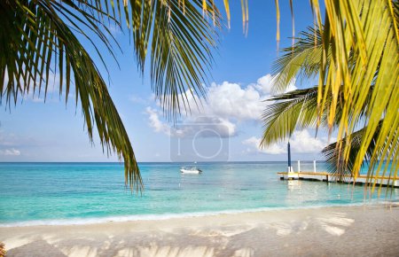 Téléchargez les photos : Plage tropicale avec bateau, palmiers et jetée par une journée ensoleillée - en image libre de droit