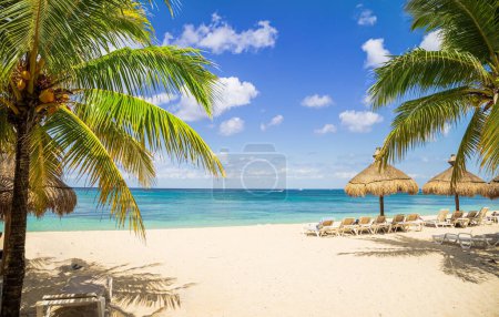 Photo for Tropical beach with palm trees and boats in distance on a sunny day - Royalty Free Image