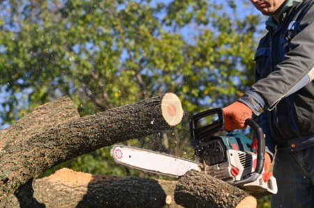 Foto de El hombre cortó un tronco con una motosierra. El tronco aserrado cae. - Imagen libre de derechos