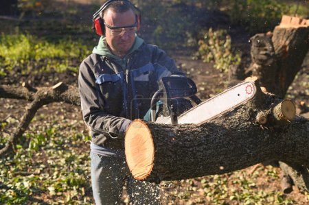 Foto de Un hombre sierra un árbol con una motosierra. aserrín está volando. - Imagen libre de derechos
