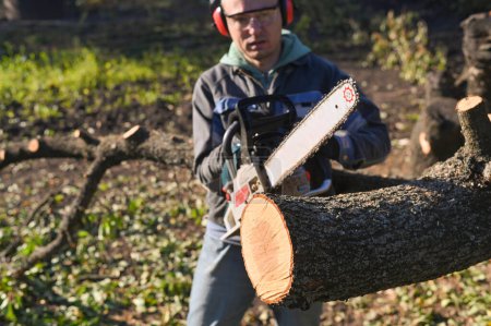 Foto de Un hombre con una motosierra. Trabajos sobre aserrado de madera. - Imagen libre de derechos