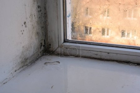 moisissure près de la fenêtre en raison de l'humidité élevée