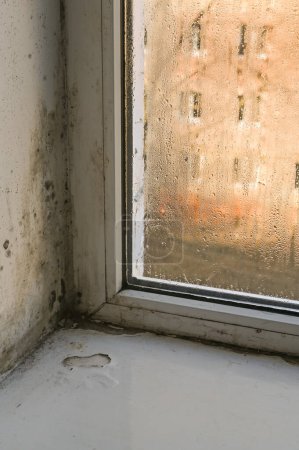 Moule, champignon sur le mur. Moule noir sur le mur près de la fenêtre. 
