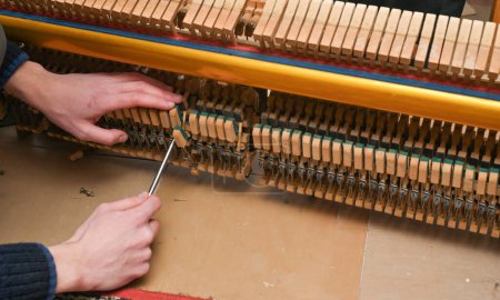Photo for The hands of the tuner repair the piano. adjusting or replacing piano hammers - Royalty Free Image
