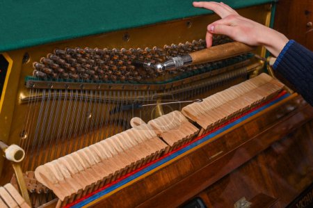 Photo for The piano tuner's hand and instrument. close-up - Royalty Free Image