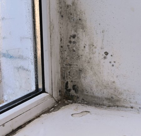 Schimmel in der Ecke des nassen Fensters und auf der Fensterbank