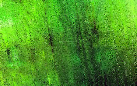 vidrio verde húmedo. gotitas de condensado
