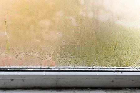 Schimmel und Schimmel auf feuchtem Fenster