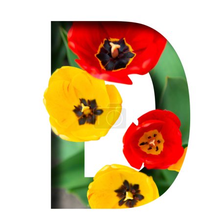 Téléchargez les photos : Lettre D, concept alphabet design. Fonte Floral spring. Saisonnière décorative belle mades de type de différentes fleurs multicolores et de l'herbe. Impression estivale naturelle avec tulipes - en image libre de droit