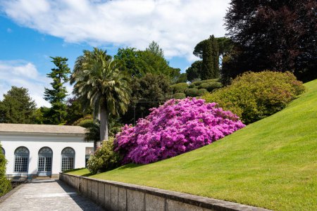 Téléchargez les photos : Parc dans la villa Melzi avec un grand aménagement paysager et de belles plantes au printemps, beauté dans la nature au printemps, Italie, Lombardie - en image libre de droit