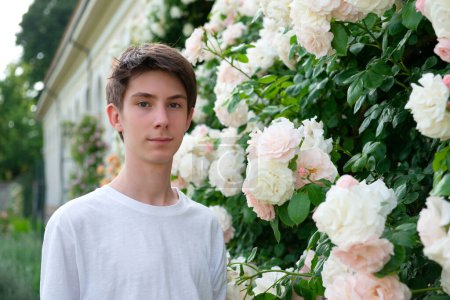 Téléchargez les photos : Adolescent garçon dans parc parmi belle blanc-rose floraison roses été en plein air - en image libre de droit