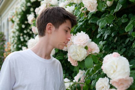 Téléchargez les photos : Adolescent garçon odeurs belle blanc-rose floraison roses dans parc, été plein air - en image libre de droit