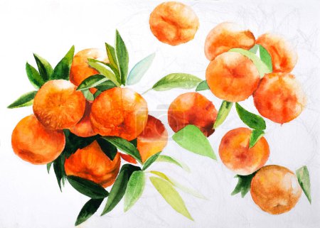 Téléchargez les photos : Des tangerines. Peinture aquarelle colorée de satsuma juteuse, fond abstrait artistique, beaux éléments de design - en image libre de droit