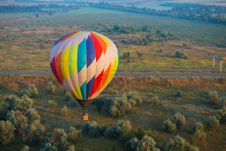 Photo for Hot air balloon is flying over land with trees at the morning - Royalty Free Image