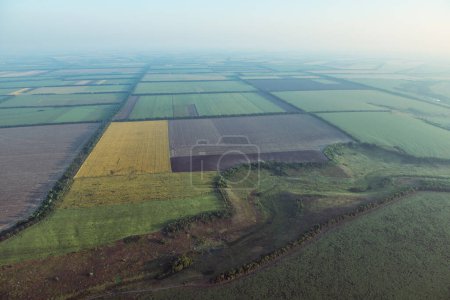 Photo for Amazing view from the height of the balloon. Summer beautiful fields lanscape from the bird's eye, sunrise. Ballooning in Ukraine - Royalty Free Image
