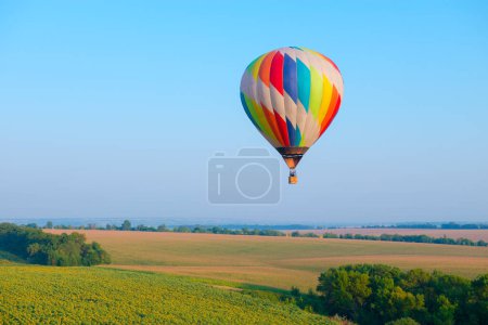 Photo for Hot air balloon is flying over the field with blooming sunflowers - Royalty Free Image