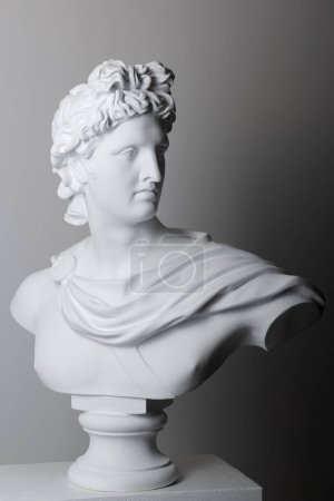 Téléchargez les photos : Tête de statue en plâtre mâle en studio sur fond gris - en image libre de droit