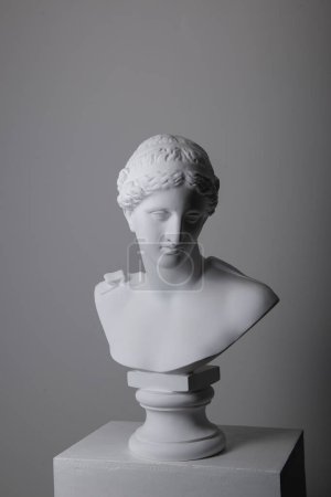 Téléchargez les photos : Tête de statue en plâtre femelle en studio sur fond gris - en image libre de droit