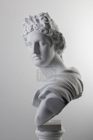 Foto de Cabeza de estatua de yeso masculino en estudio sobre fondo gris - Imagen libre de derechos