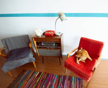 Foto de Ginger cat descansando en un sillón a la antigua en una acogedora habitación vintage con tocadiscos de radio retro, teléfono y lámpara estándar. Interior del siglo XX, nostalgia - Imagen libre de derechos