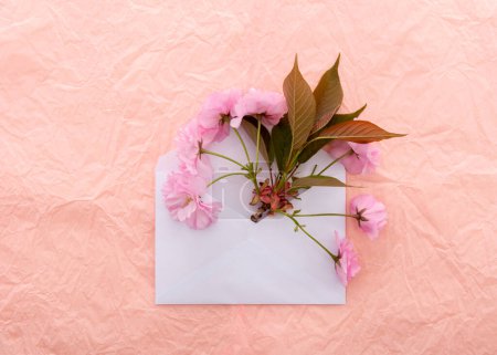 Téléchargez les photos : Fleur de sakura. Enveloppe avec des fleurs printanières sur fond de papier décoratif froissé rose. Concept de design printanier - en image libre de droit