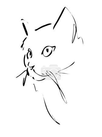 Cat's head drawn in ink, vector illustration, quick sketch, line art