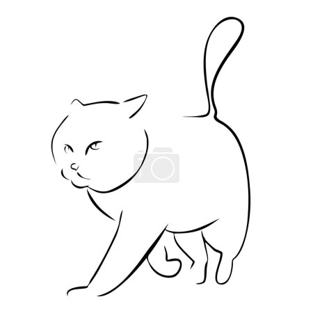 Ilustración de Retrato de gato caminante dibujado en tinta, ilustración vectorial, boceto rápido, arte de línea - Imagen libre de derechos