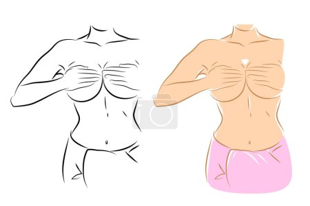Ilustración de Cuerpo femenino, ilustración vectorial. Mujer joven tocándose el pecho con la mano - Imagen libre de derechos
