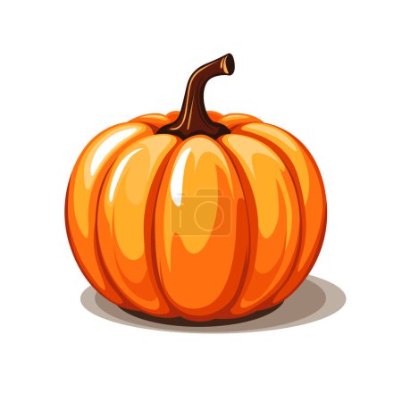 Téléchargez les illustrations : Citrouille d'automne, illustration vectorielle sur fond blanc - en licence libre de droit