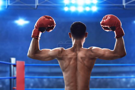 Téléchargez les photos : Boxer sur la bague, thème sport - en image libre de droit
