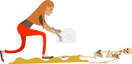 Téléchargez les illustrations : Femme archéologue fouillant icône vectorielle squelette humain préhistorique isolé sur fond blanc - en licence libre de droit