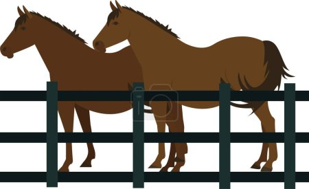 Illustration for Thoroughbred stallions in stall vector icon isolated on white background - Royalty Free Image