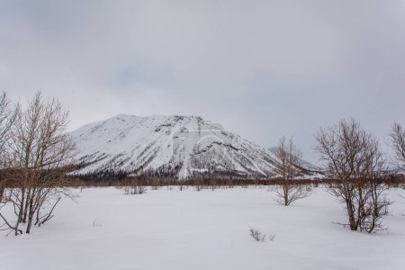 Montagnes hibiniques, printemps à Russian Nord, Kukisvumchorr