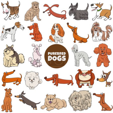 Cartoon illustration of purebred dogs animal characters big set
