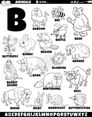 Ilustración de Dibujos animados ilustración de personajes de animales establecidos para la letra B para colorear página - Imagen libre de derechos