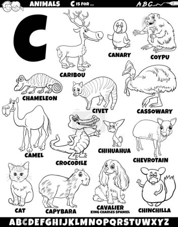 Téléchargez les illustrations : Illustration de bande dessinée de caractères animaux pour la lettre C coloriage - en licence libre de droit