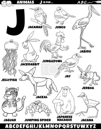 Téléchargez les illustrations : Illustration de bande dessinée de caractères animaux pour la lettre J coloriage - en licence libre de droit