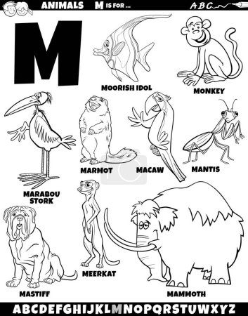 Ilustración de Dibujos animados ilustración de personajes de animales establecidos para la letra M para colorear página - Imagen libre de derechos