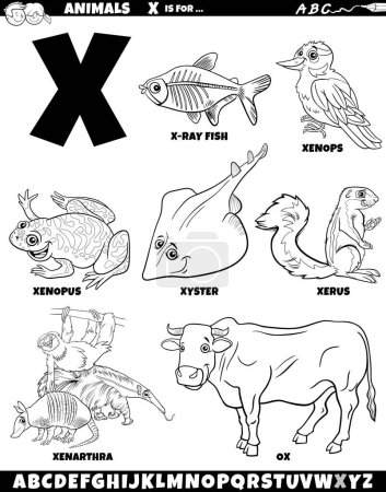 Téléchargez les illustrations : Illustration de bande dessinée de caractères animaux pour la lettre X coloriage - en licence libre de droit