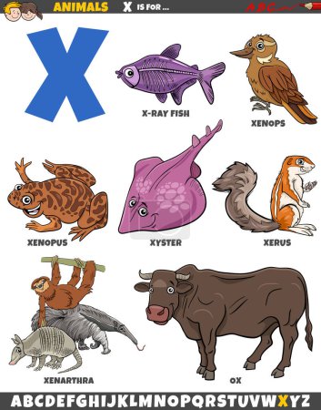 Téléchargez les illustrations : Illustration de bande dessinée de caractères animaux pour la lettre X - en licence libre de droit