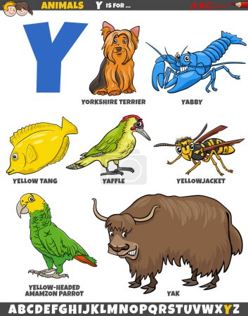Téléchargez les illustrations : Illustration de bande dessinée de caractères animaux pour la lettre Y - en licence libre de droit