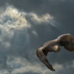 eagle in flight in front of dark cloud with incidence of light
