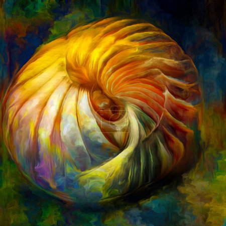Photo for Dream of Nautilus series. Interplay of spiral structures, shell patterns, colors and abstract elements on the subject of sea life, nature, creativity, art and design. - Royalty Free Image