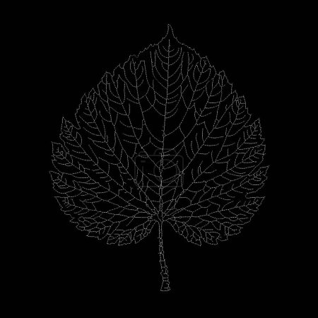 Photo for Dead Leaves Catalogue series. Stippling illustration showcasing the delicate framework of a skeleton leaf. - Royalty Free Image