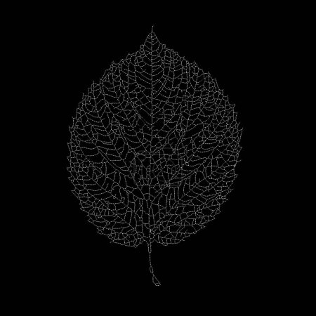 Photo for Dead Leaves Catalogue series. A stippling portrayal of a skeleton leaf, exploring the intricate and minimalist patterns that emerge from nature's design. - Royalty Free Image