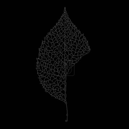 Dead Leaves Catalogue series. Stippling art of a skeleton leaf on the subject of natural forms, fragility, minimalism and design.