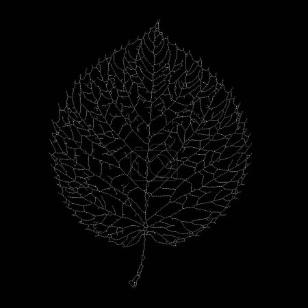 Téléchargez les photos : Dead Leaves Catalogue series. Stippling art of a skeleton leaf on the subject of natural forms, fragility, minimalism and design. - en image libre de droit