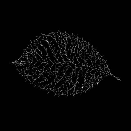 Photo for Dead Leaves Catalogue series. A stippling representation of a skeleton leaf, emphasizing the transient beauty and intricate designs inherent in nature's lifecycle. - Royalty Free Image